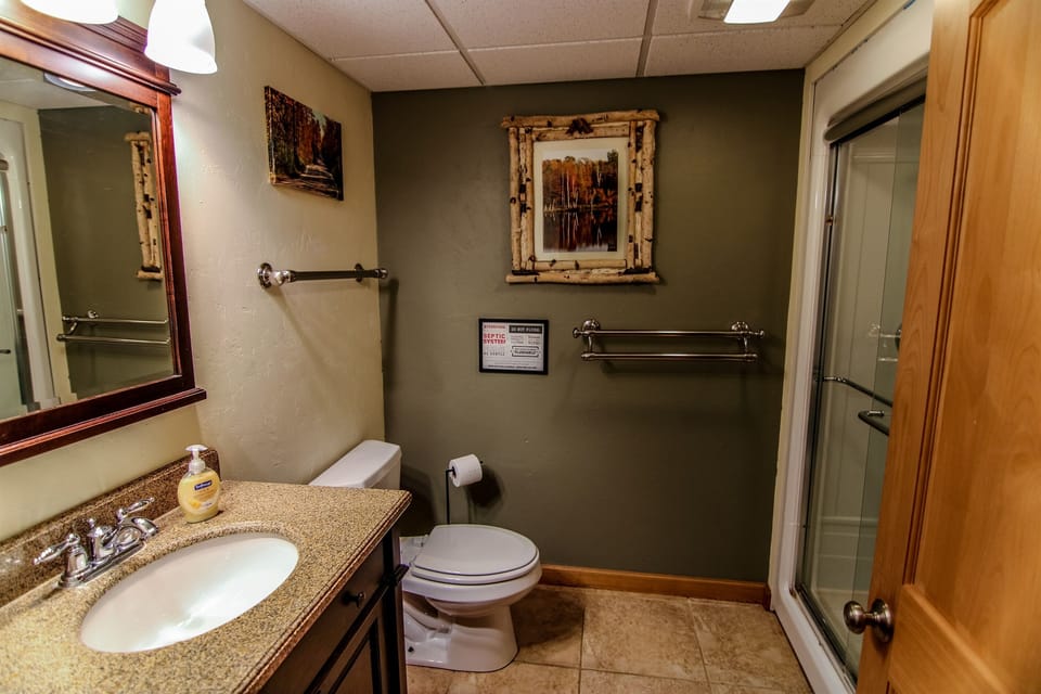 Lower level full size bath (stand up shower)