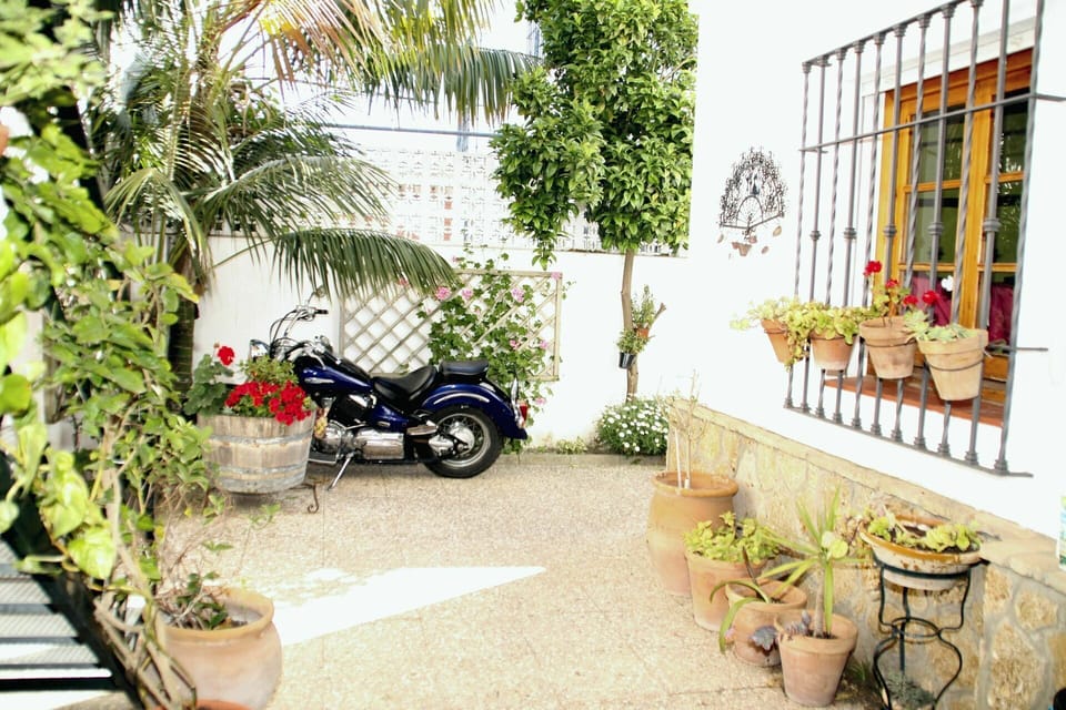 Plant, Wheel, Property, Flowerpot, Automotive Tire, Vehicle, Botany, Architecture