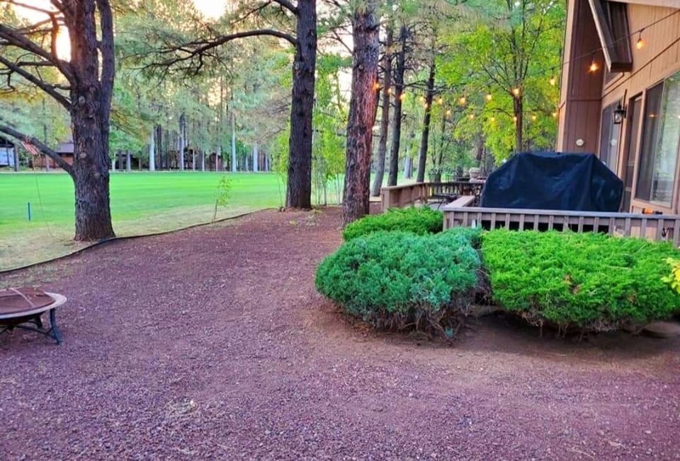 Peaceful and Relaxing