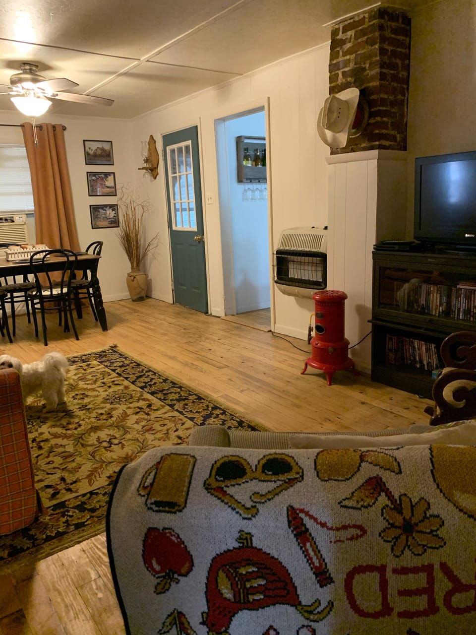 Living Room with Sleeper Sofa