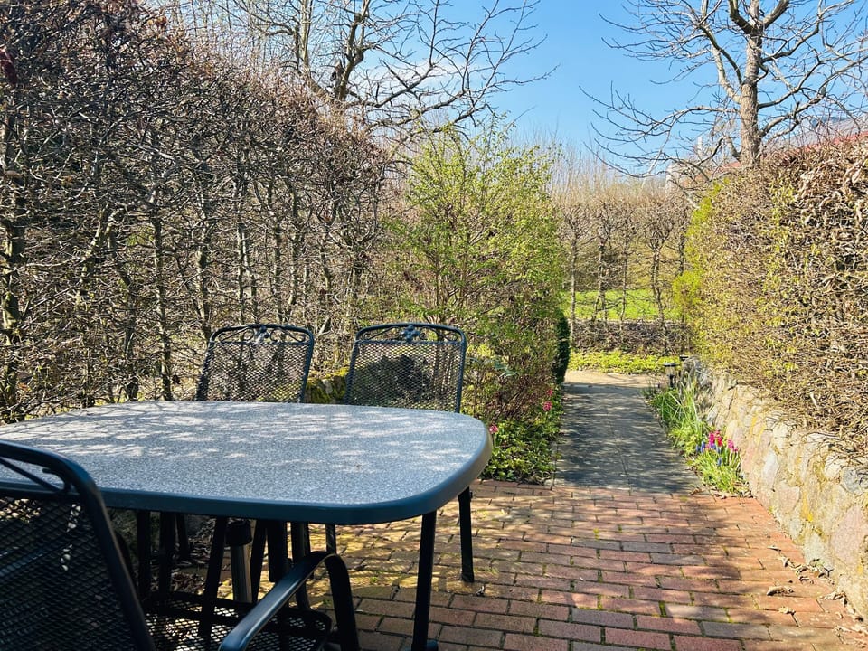 Ferienwohnung Kiefer - Ferienwohnung Kiefer Apartment in Mecklenburgische Seenplatte