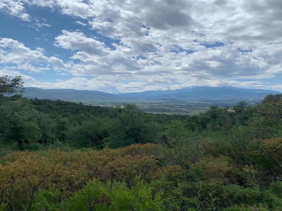 Region [summer] (>5 km)