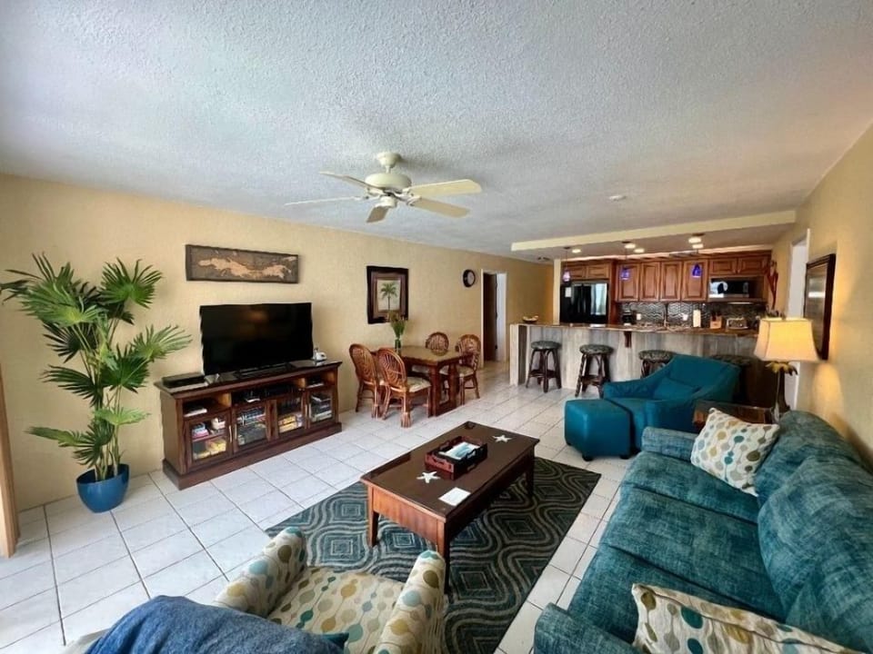 Living Room & Kitchen Area