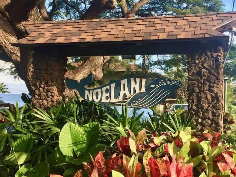 Noelani Resort is an ocean front boutique resort located on West Maui