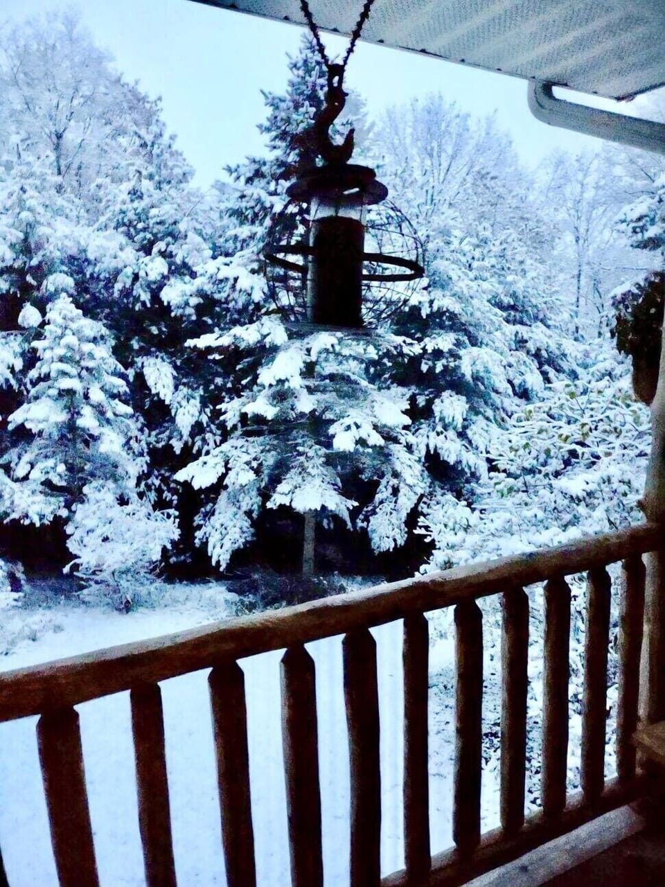 Porch view 