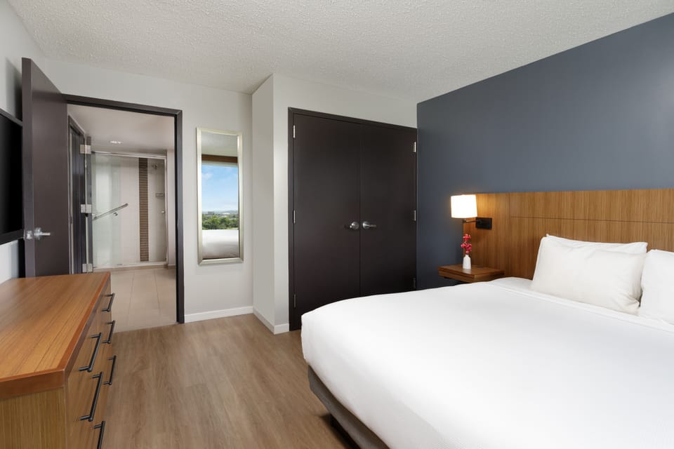 Suite, 1 King Bed | View from room