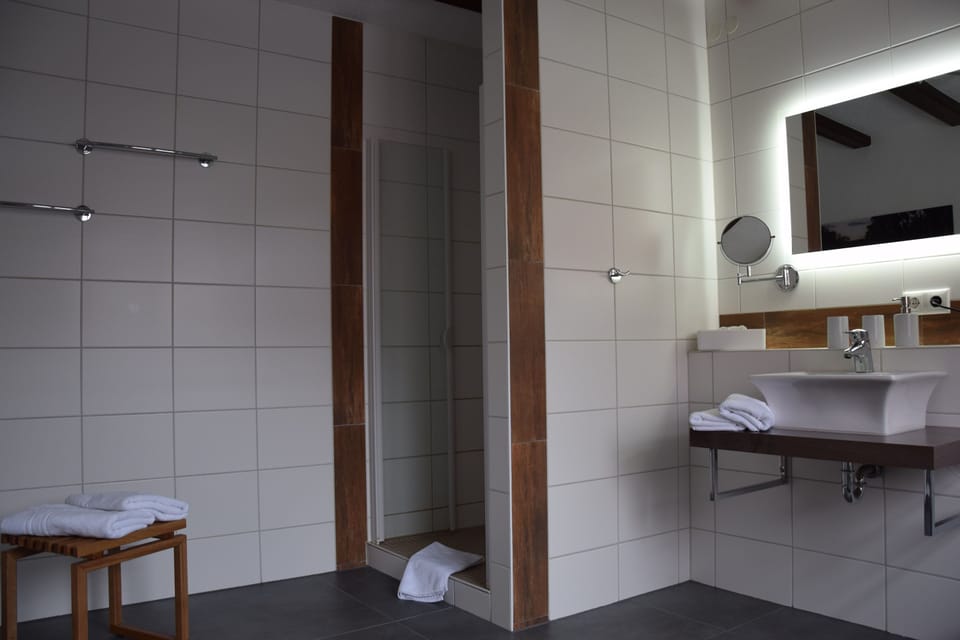 Double Room | Bathroom | Hair dryer, towels
