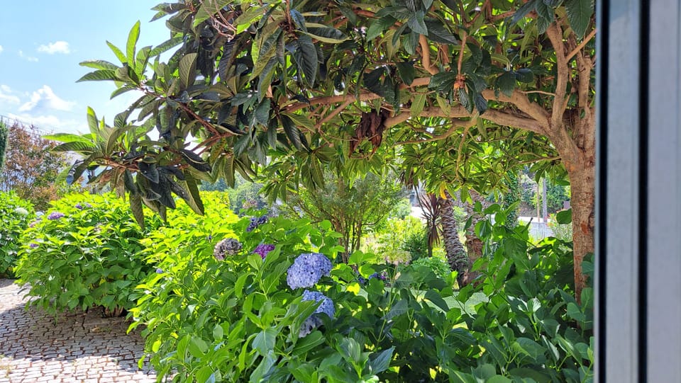 Jardim da vivenda.