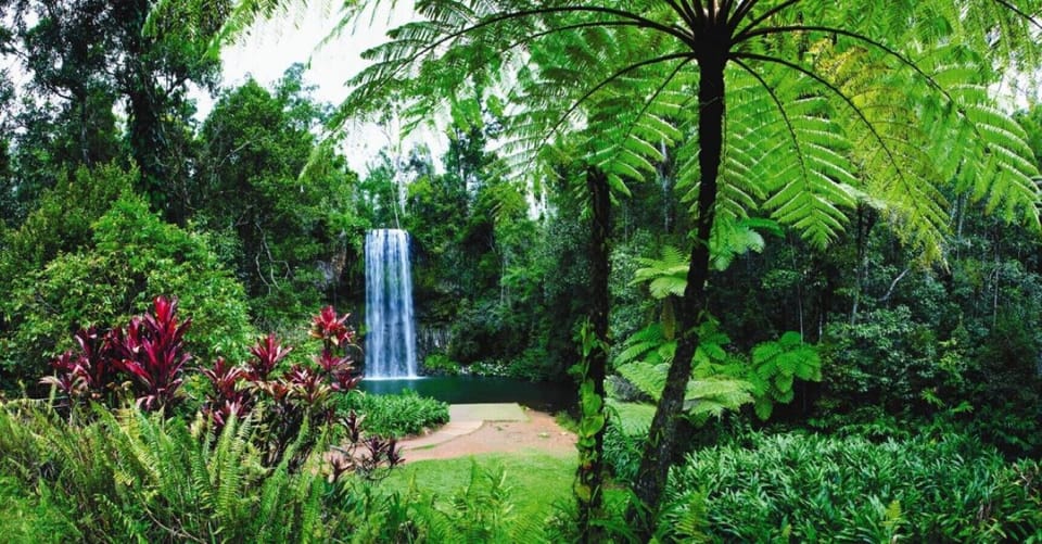 Tablelands Waterfall Circuit
