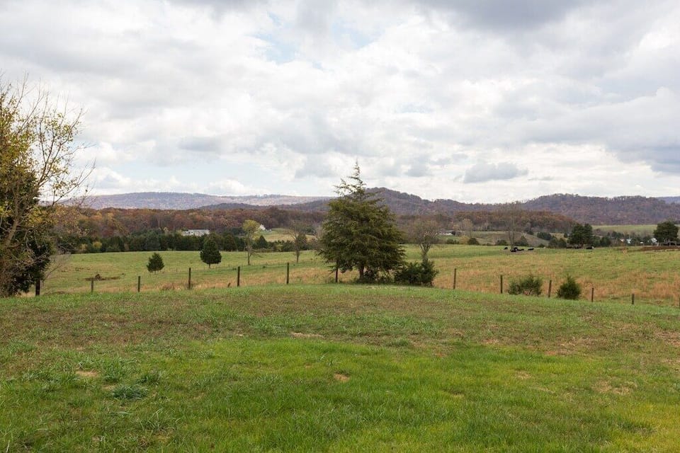 Backyard farm views