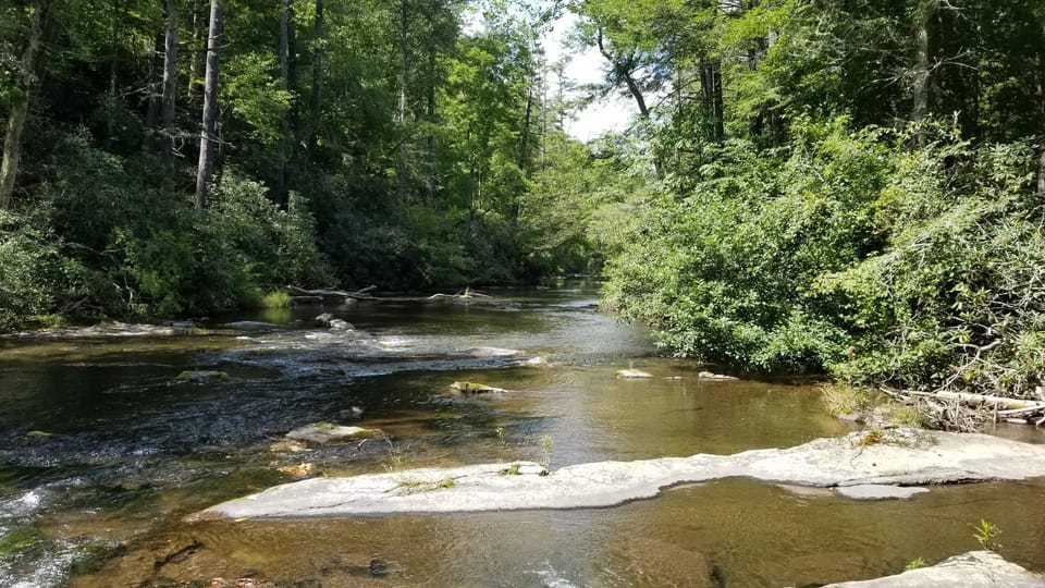 Frolic in the community brook.My kids LOVE walking on the rocks, skimming stones