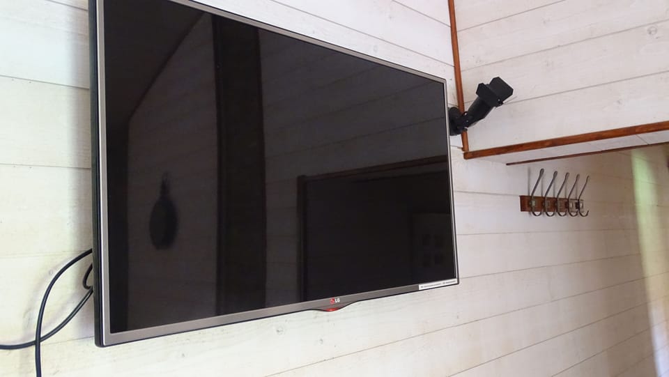 Television