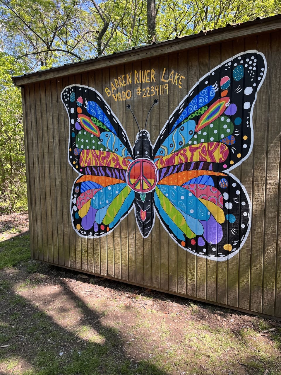 Selfie Wall created by local artist! 🦋