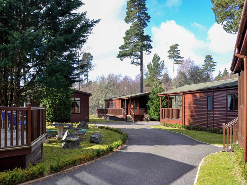 Setting | Royal Deeside Woodland Lodg, Dinnet, near Ballater