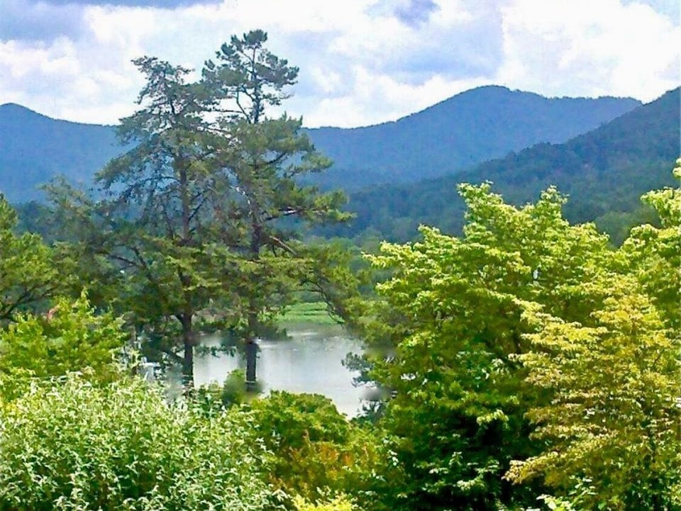 Beaver Lake - 1 mile from Studio 19 Asheville  