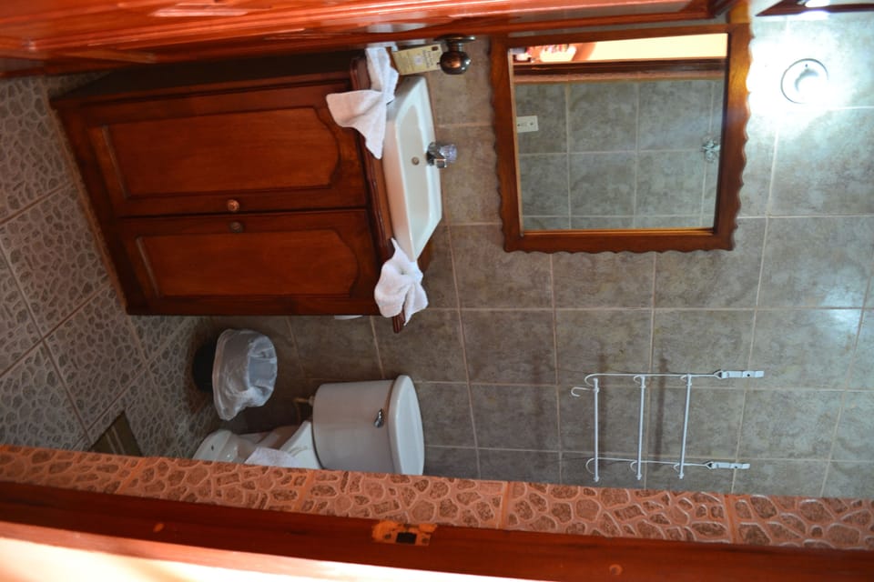 Shower, towels