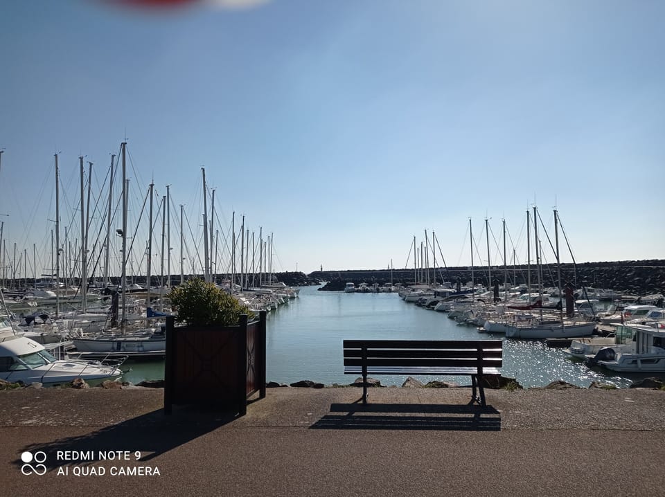 Marina