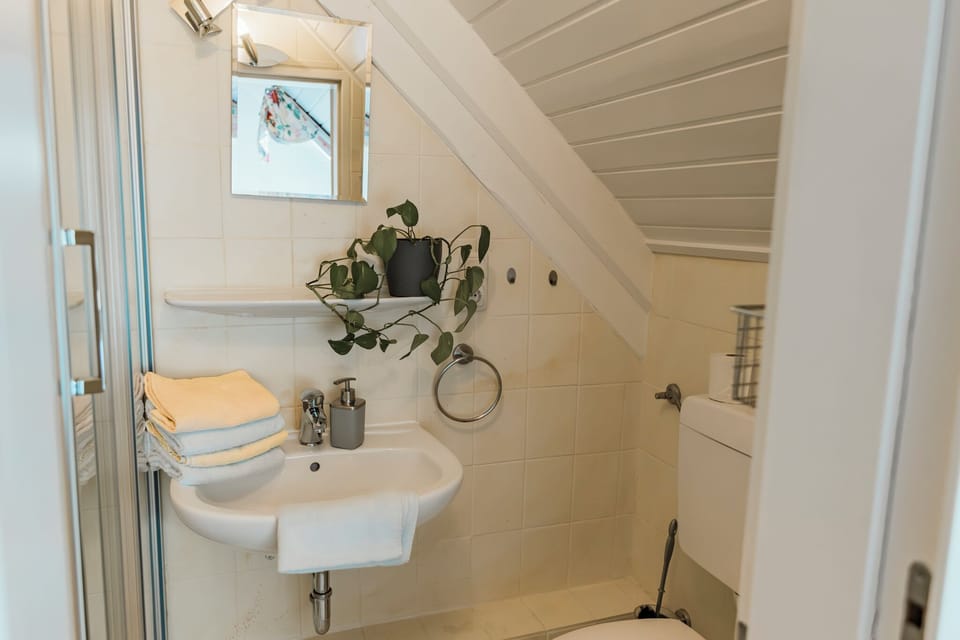 Single Room | Bathroom | Shower, hair dryer, towels