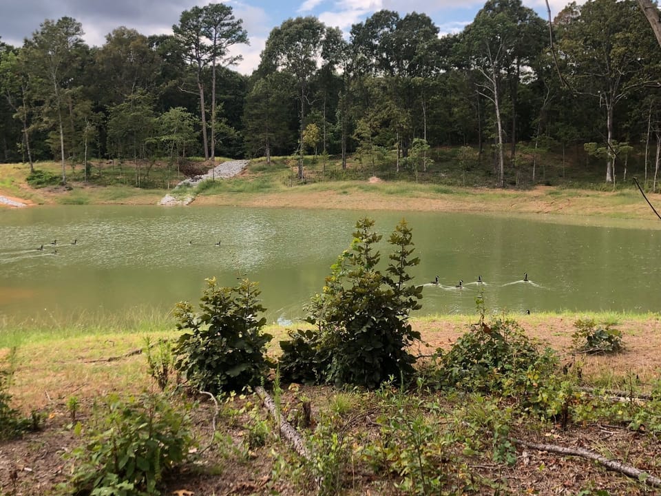 Two lakes and playgrounds. Direct access to HWY 6- road campus.