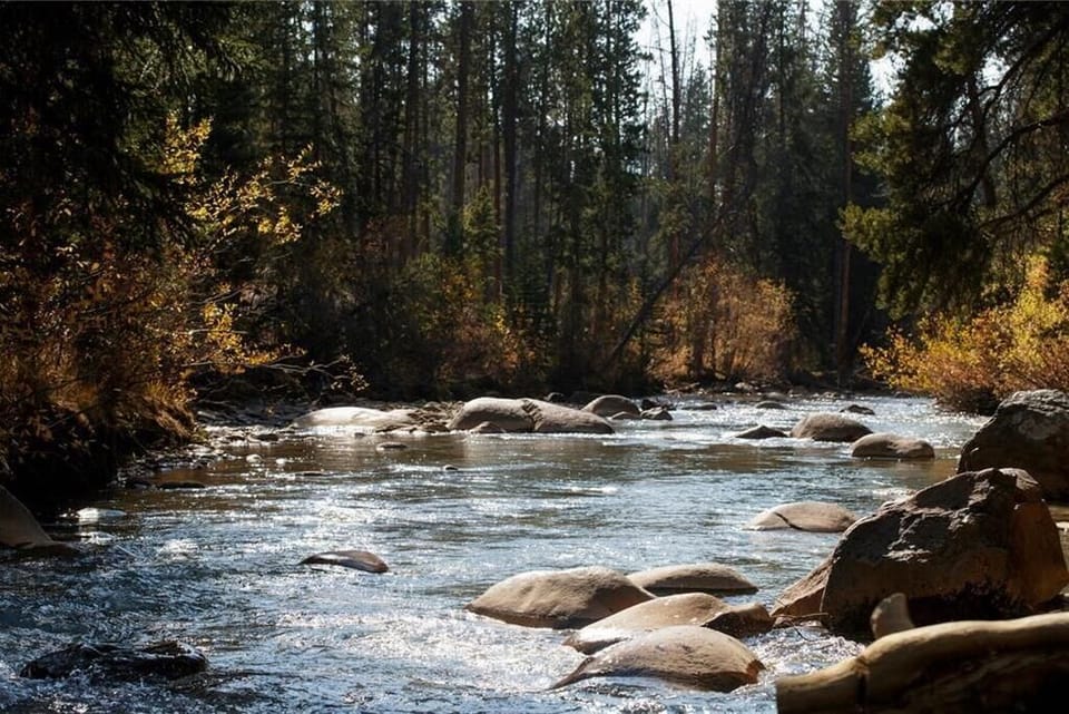 A serene forest stream flows over rocks, surrounded by trees and light autumn foliage under a clear sky.