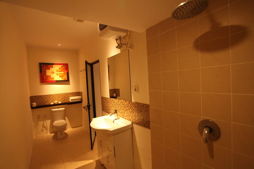 Deluxe Room, Non Smoking | Bathroom amenities | Shower, free toiletries, hair dryer, slippers