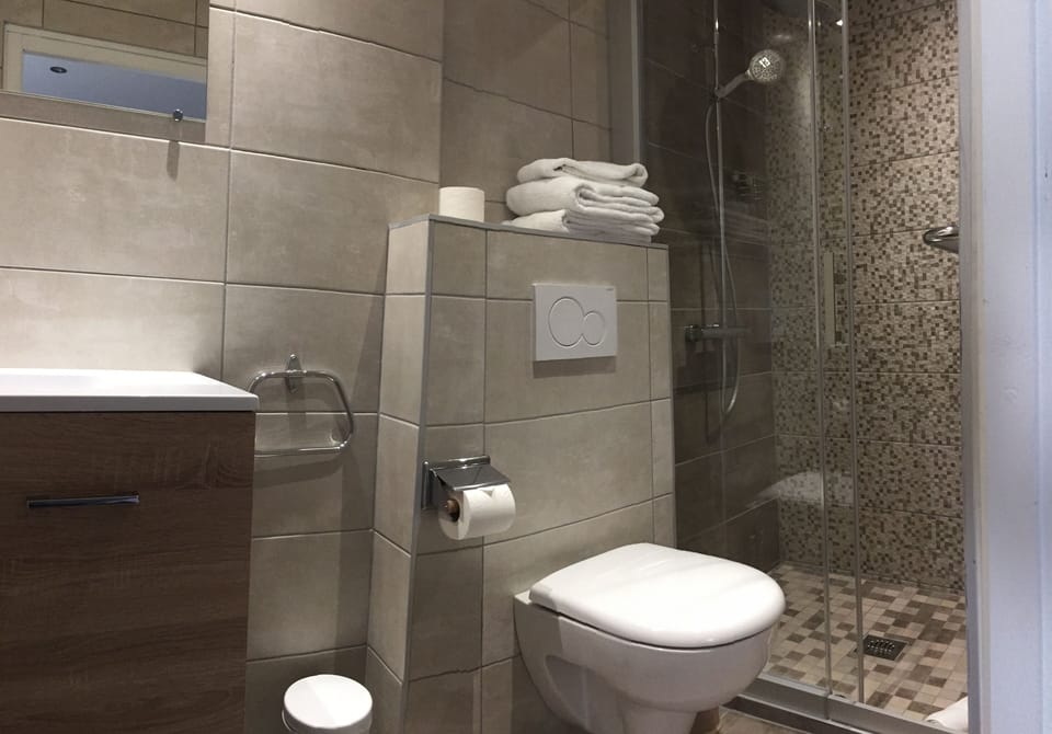 Comfort Double Room | Bathroom | Hair dryer, towels