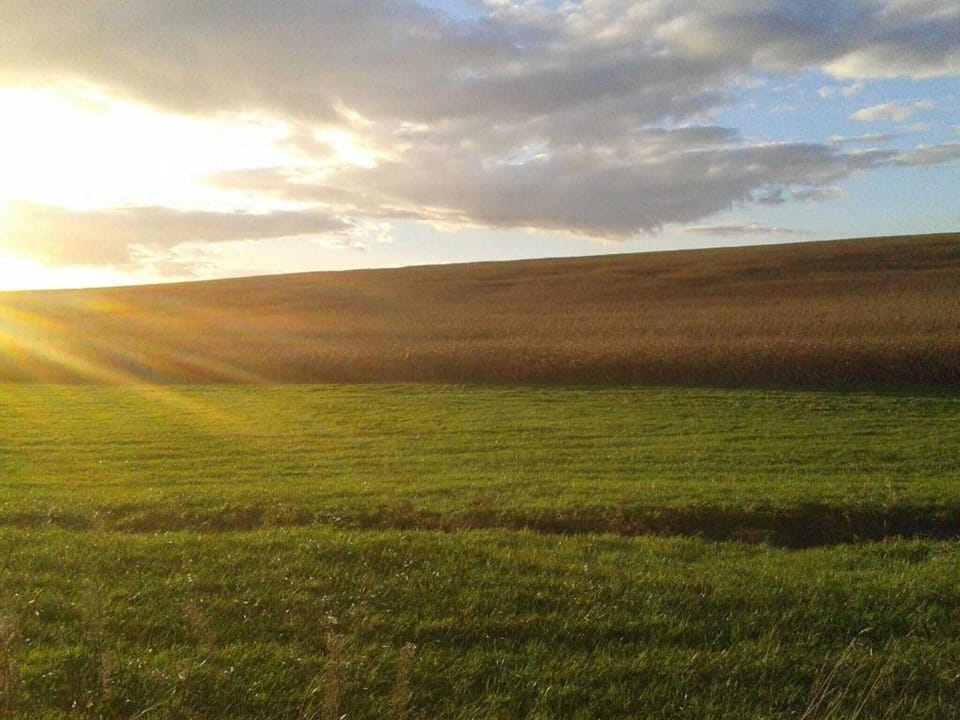 Region [summer] (>5 km)