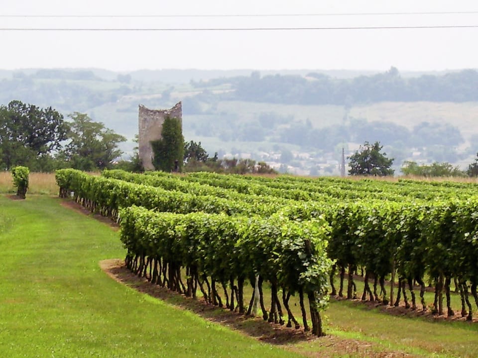 Surroundings [summer] (1-5 km)