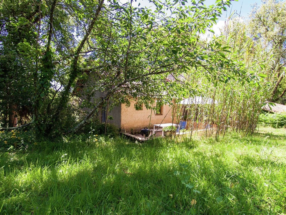 Immediate Surroundings [summer] (<1 km)