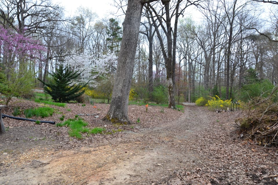 South driveway