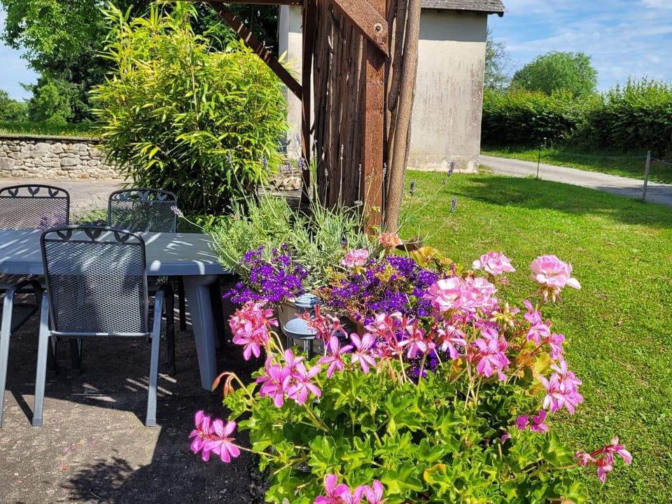 Garden [summer]