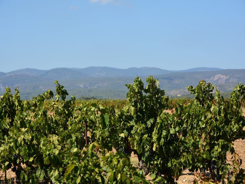 Surroundings [summer] (1-5 km)