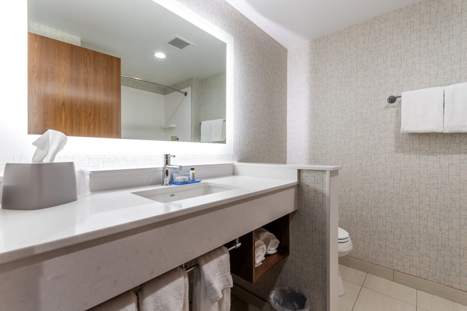 Hair dryer, towels, soap, shampoo