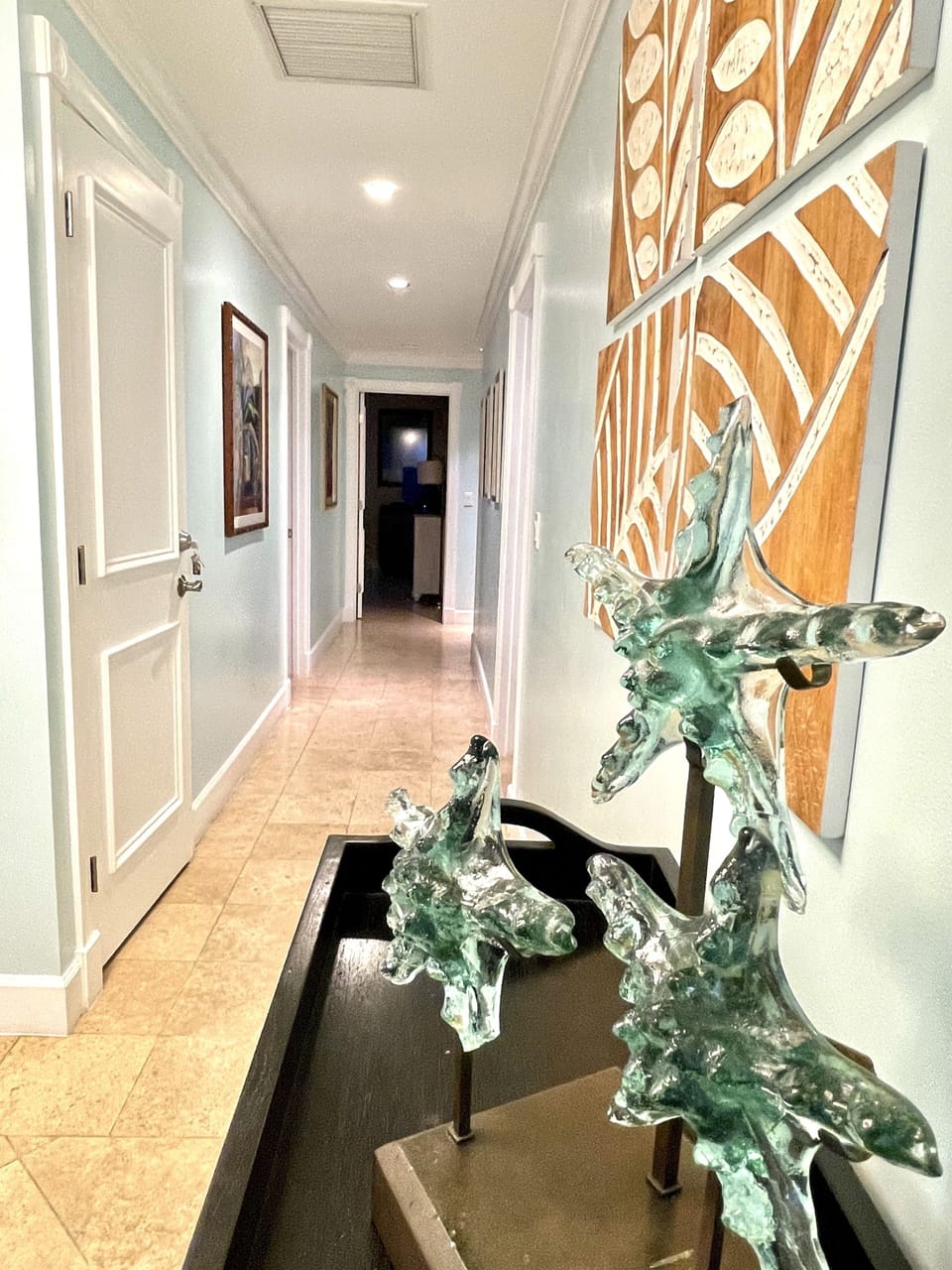 Entrance view towards bedrooms