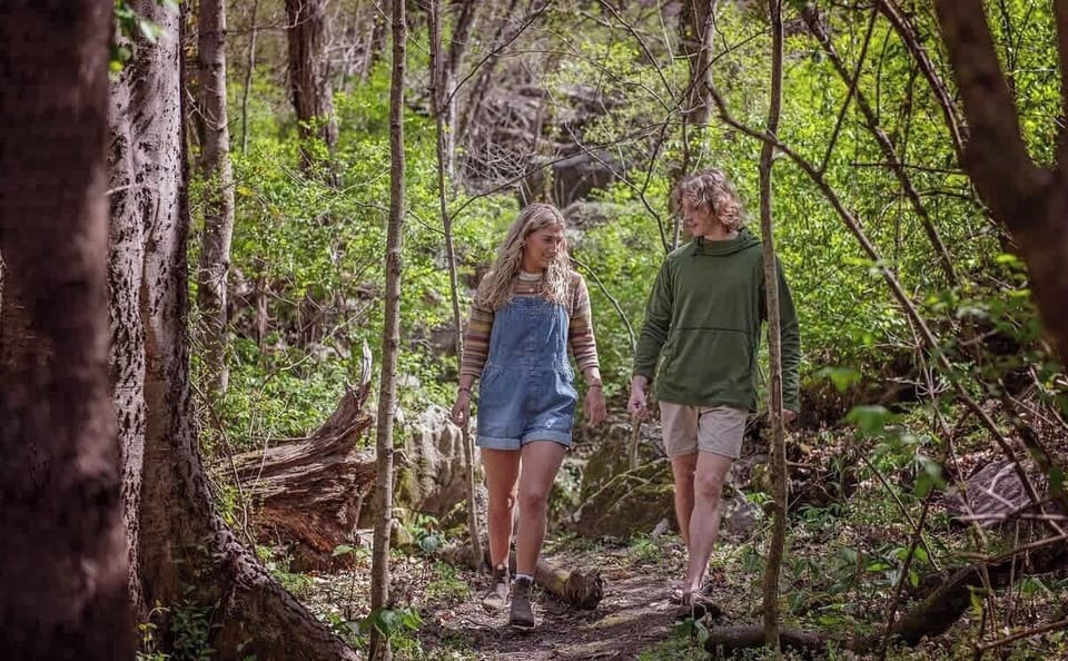 Sophie’s Spur Trail. There are several beautiful trails that begin on Wauhatchie Woodlands property.