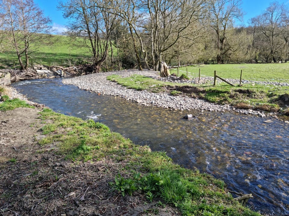 Image 24