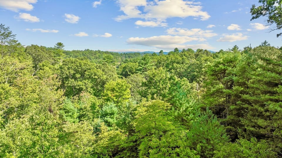 Long range Mountain View 