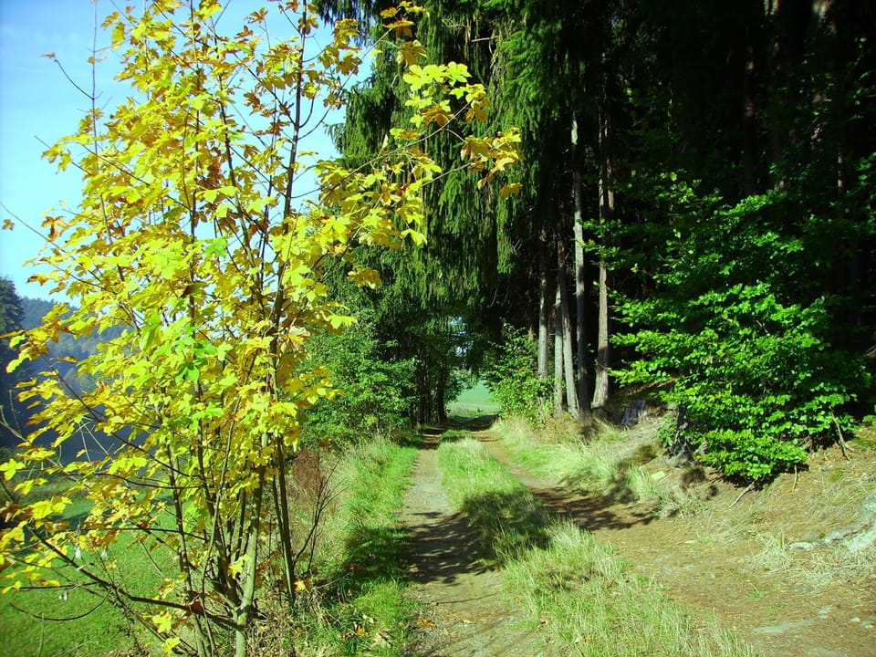 Landgasthof Haueis Bed and Breakfast in Bavaria