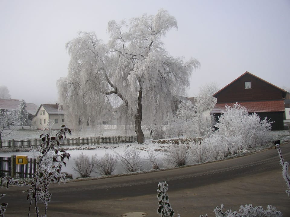 Land view from property
