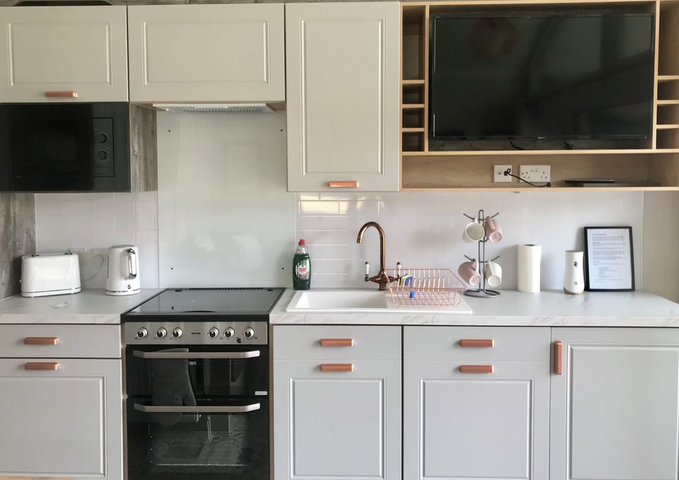 Cabin | Private kitchen | Fridge, microwave, oven, stovetop