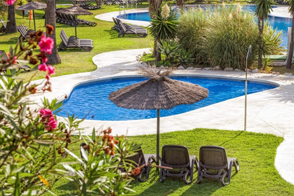 Tranquil garden seating amidst vibrant greenery for peaceful relaxation.
