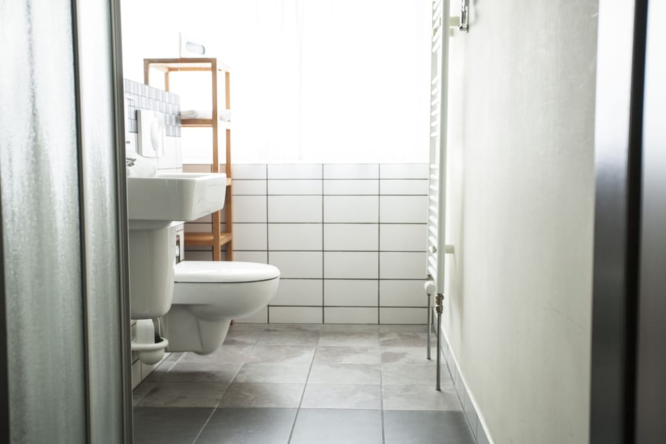Shower, free toiletries, hair dryer, bathrobes