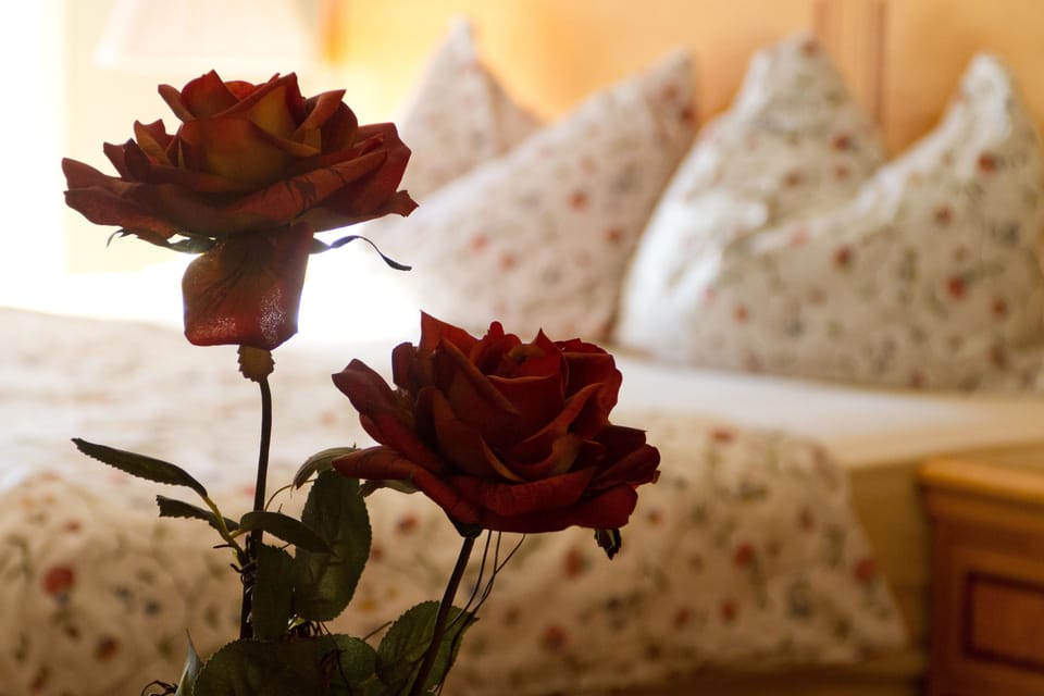 Double or Twin Room | Individually decorated, individually furnished, desk, laptop workspace