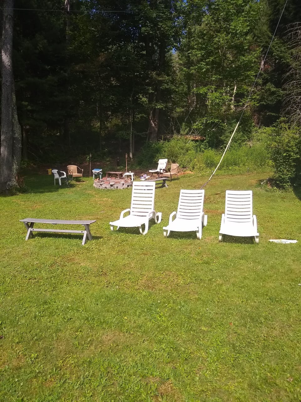 Back yard