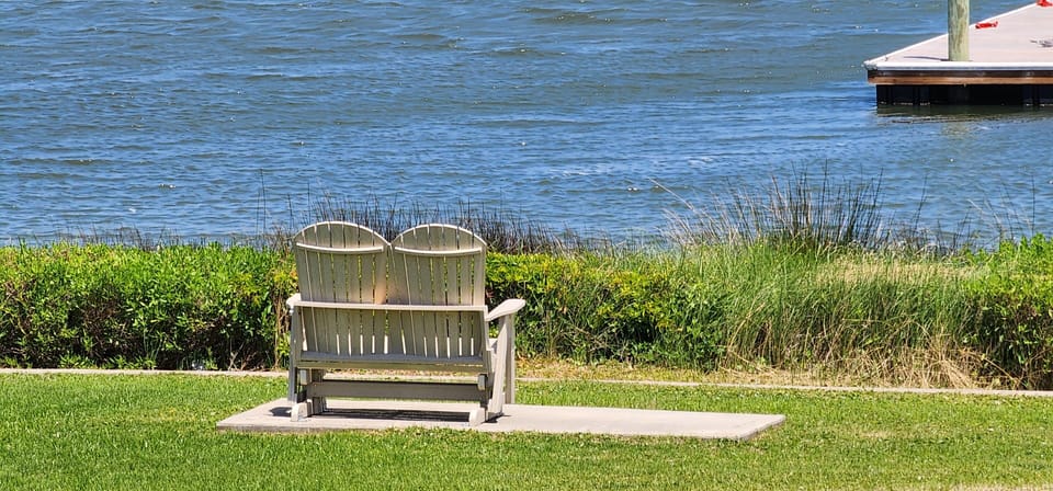 swing chairs by the water