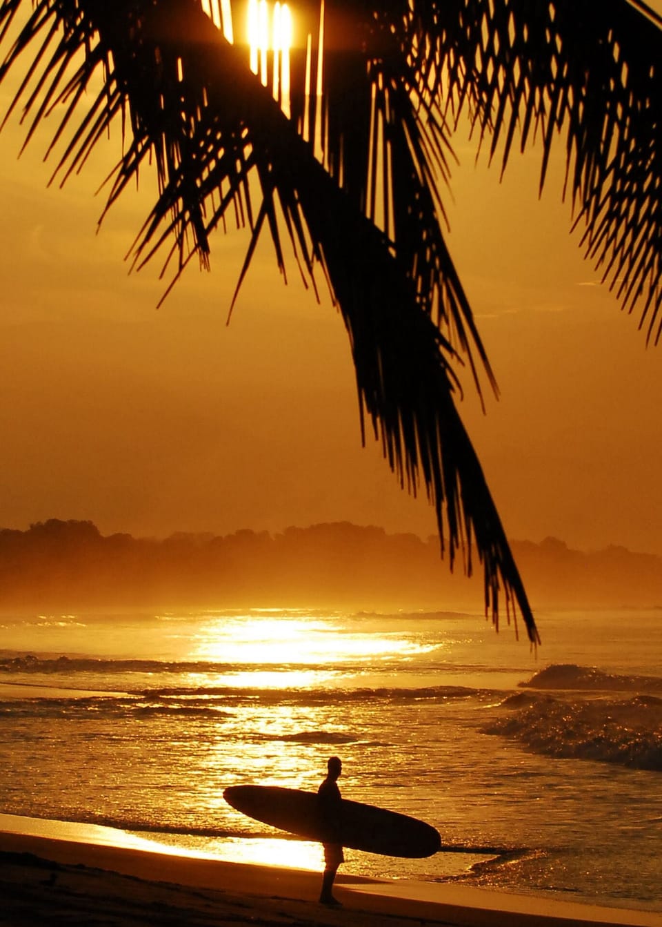 Surfing/boogie boarding