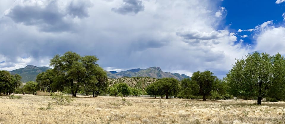 View from Front Porch