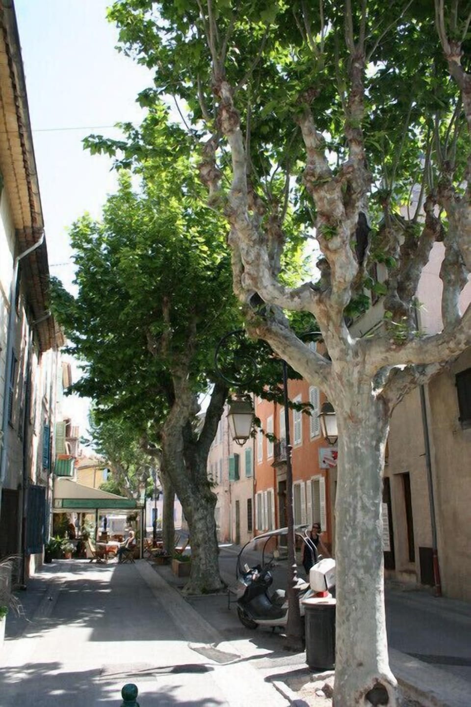 Picturesque tree lined streets in the village