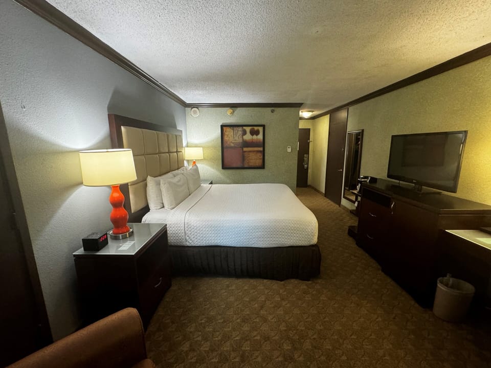 Room, 1 King Bed, Non Smoking | Desk, laptop workspace, blackout drapes, iron/ironing board