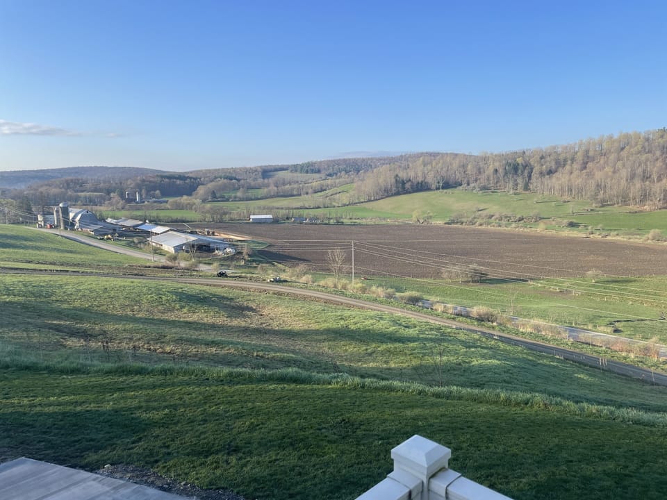 View from Balcony